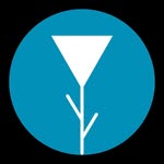 bluerosesnola profile picture