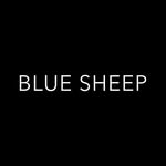 bluesheepba profile picture