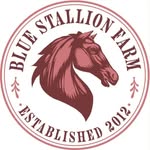 bluestallionfarm profile picture