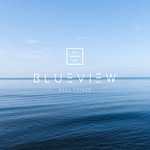 blueviewrealestate profile picture