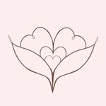 blushandcocobrides profile picture