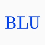 bluxbluxblu profile picture