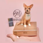 bm_replicas profile picture
