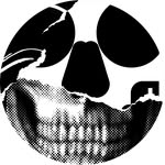 bnomio profile picture