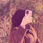 bntl7382 profile picture