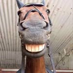 bobby_la_frit profile picture