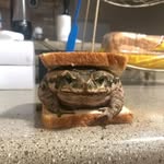 bobbyswarriors profile picture