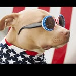bobreese16912 profile picture