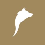 bocadolobostudio profile picture