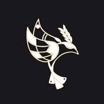 bodhita profile picture