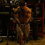 bodychemist profile picture
