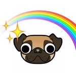 bodypositivepug profile picture