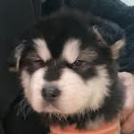 bofu1010 profile picture
