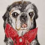 bogartbogiethepug profile picture