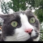 bogsie_malone profile picture