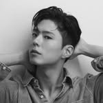 bogummy