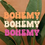 bohemy.erbil profile picture