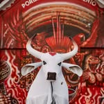 boigarantido profile picture
