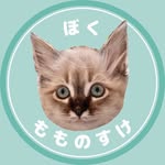 boku.momonosuke profile picture