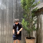 bollsvjk profile picture
