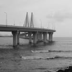 bombay.noir profile picture