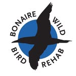bonairewildbirdrehab profile picture