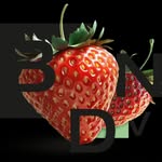 bondividesign profile picture