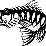 bonefacefishing profile picture
