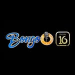 bongostarsearch profile picture