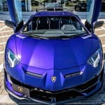 bongreiner_stockpicks profile picture