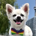 bonitagram profile picture