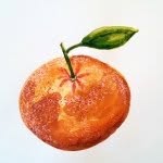 bonjourclem profile picture
