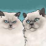bonnienclydekitties profile picture