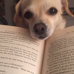books_with_shell profile picture