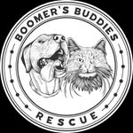 boomersbuddiesrescue profile picture