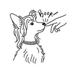 boopcollars profile picture