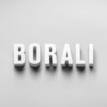 boralidj303 profile picture