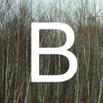 borealcollective profile picture