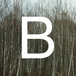 borealpress profile picture