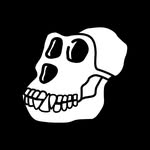 boredapeyachtclub profile picture