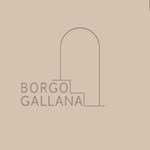 borgogallana profile picture