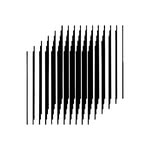 bornandraisedent profile picture