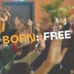 bornfree.ldn profile picture