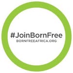 bornfreeafrica profile picture