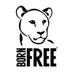 bornfreefoundation profile picture