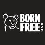 bornfreeusaprimates profile picture