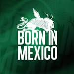borninmexico profile picture