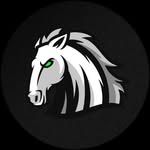 borussia_e_sports profile picture