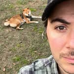 boscoalfredo profile picture