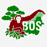 bosfoundation profile picture